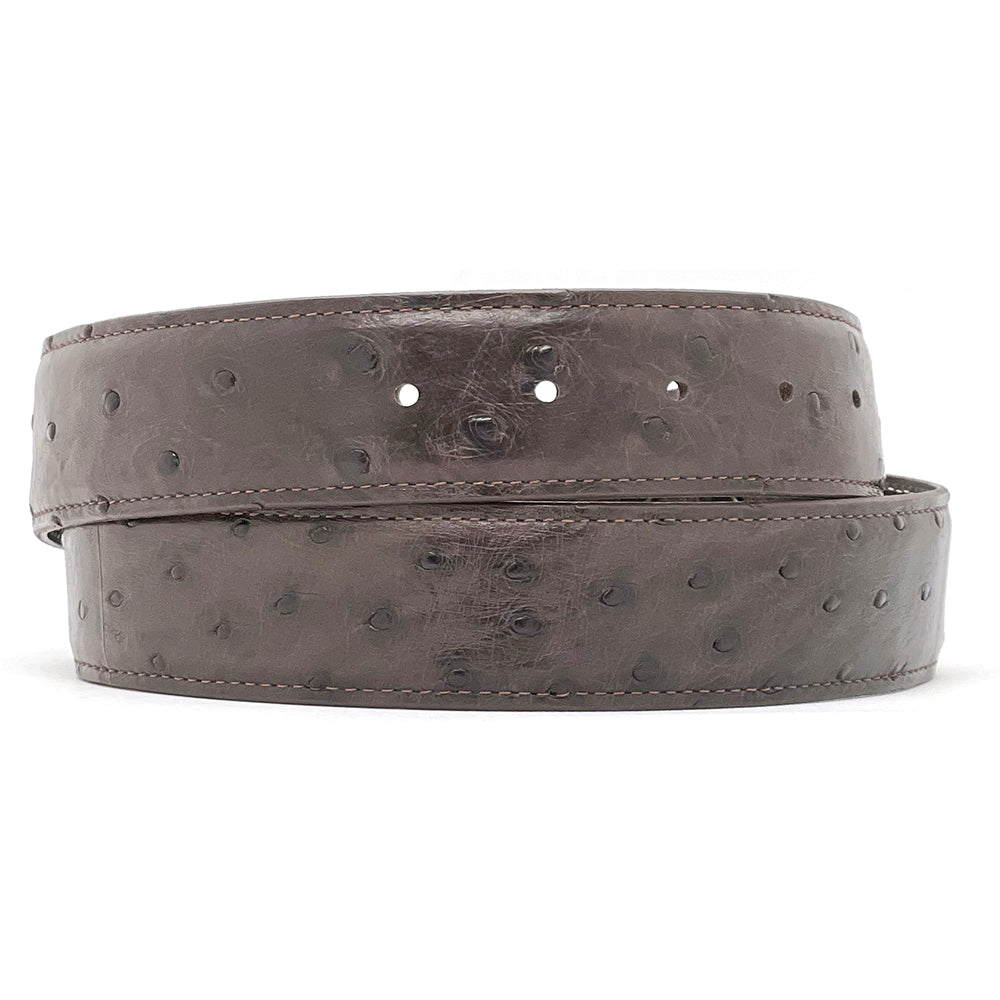 Nicotine Full Quill Ostrich Belt Strap