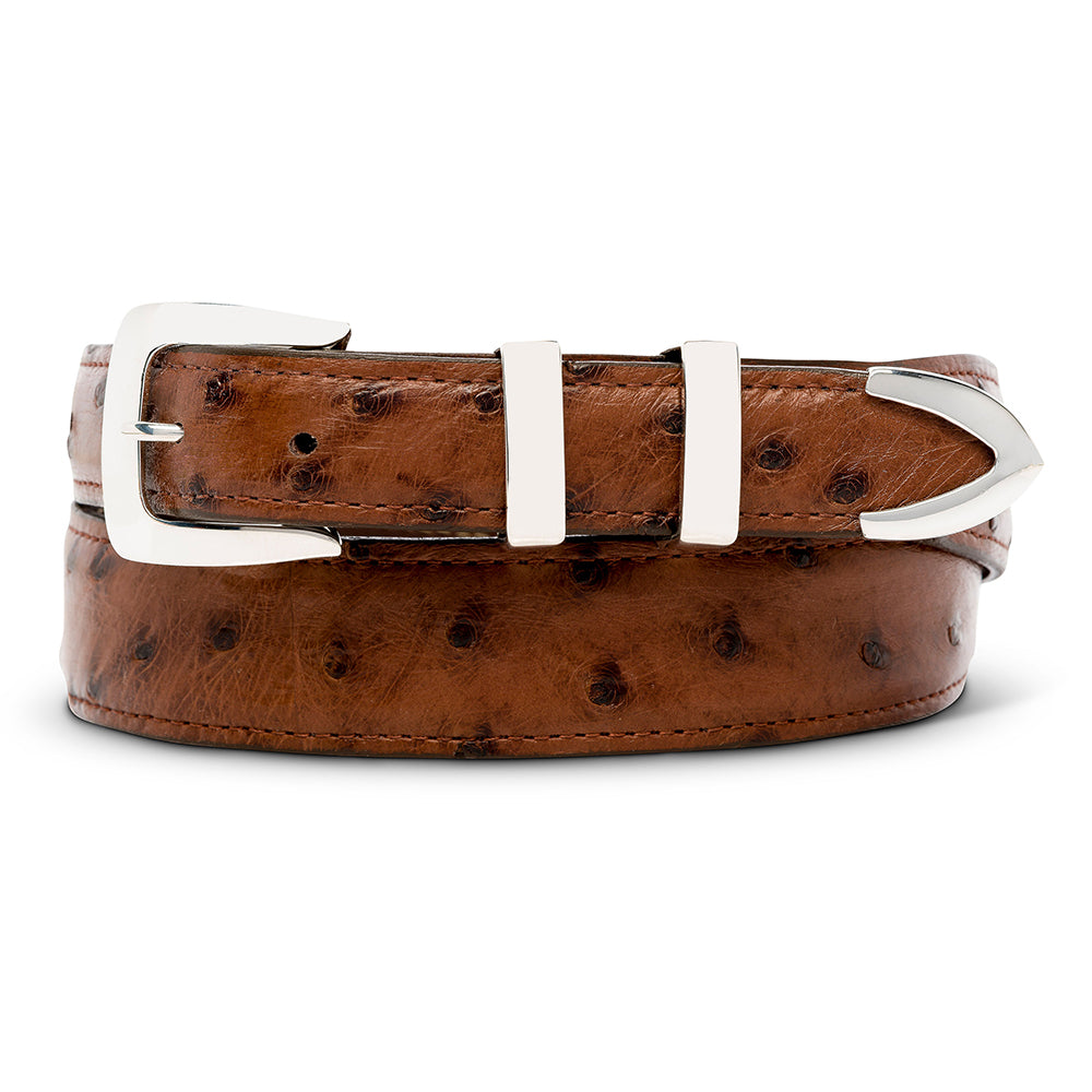 Chacon Buckle Set